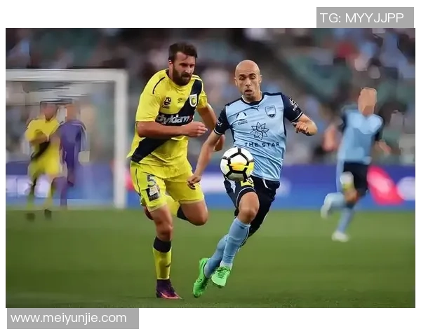 西布朗迎战谢菲联争夺英冠积分榜关键战役的胜利与荣耀