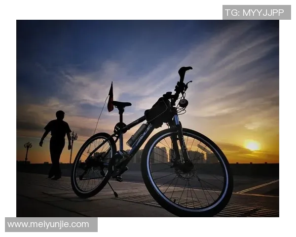 飞马与梦想战绩的较量揭示了追梦路上的坚持与奋斗精神